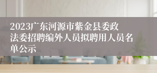 2023广东河源市紫金县委政法委招聘编外人员拟聘用人员名单公示