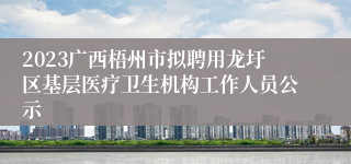 2023广西梧州市拟聘用龙圩区基层医疗卫生机构工作人员公示