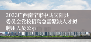 2023广西南宁市中共宾阳县委员会党校招聘急需紧缺人才拟聘用人员公示