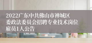 2022广东中共佛山市禅城区委政法委员会招聘专业技术岗位雇员1人公告