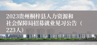 2023贵州桐梓县人力资源和社会保障局招募就业见习公告（223人）