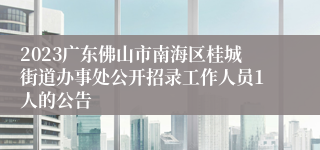 2023广东佛山市南海区桂城街道办事处公开招录工作人员1人的公告