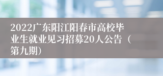 2022广东阳江阳春市高校毕业生就业见习招募20人公告（第九期）