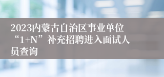 2023内蒙古自治区事业单位“1+N”补充招聘进入面试人员查询