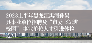 2023上半年黑龙江黑河孙吴县事业单位招聘及“市委书记进校园” 事业单位人才引进体检通知