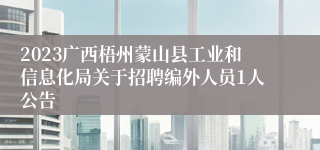 2023广西梧州蒙山县工业和信息化局关于招聘编外人员1人公告