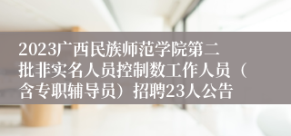 2023广西民族师范学院第二批非实名人员控制数工作人员（含专职辅导员）招聘23人公告