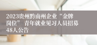 2023贵州黔南州企业“金牌岗位” 青年就业见习人员招募48人公告