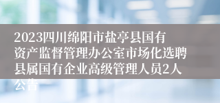 2023四川绵阳市盐亭县国有资产监督管理办公室市场化选聘县属国有企业高级管理人员2人公告