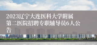 2023辽宁大连医科大学附属第二医院招聘专职辅导员6人公告