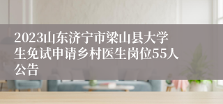 2023山东济宁市梁山县大学生免试申请乡村医生岗位55人公告