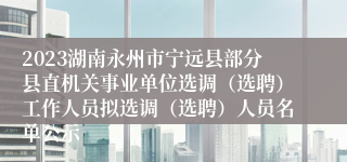 2023湖南永州市宁远县部分县直机关事业单位选调（选聘）工作人员拟选调（选聘）人员名单公示