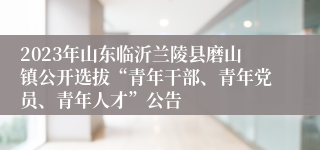 2023年山东临沂兰陵县磨山镇公开选拔“青年干部、青年党员、青年人才”公告
