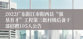 2022广东阳江市阳西县“强基育才”工程第三批村级后备干部招聘105人公告