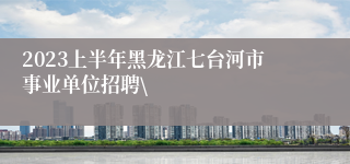 2023上半年黑龙江七台河市事业单位招聘\