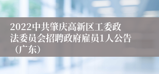 2022中共肇庆高新区工委政法委员会招聘政府雇员1人公告（广东）