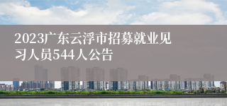 2023广东云浮市招募就业见习人员544人公告