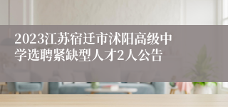 2023江苏宿迁市沭阳高级中学选聘紧缺型人才2人公告