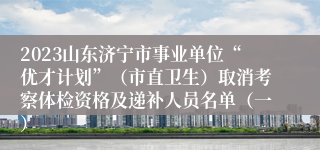 2023山东济宁市事业单位“优才计划”（市直卫生）取消考察体检资格及递补人员名单（一）