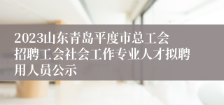 2023山东青岛平度市总工会招聘工会社会工作专业人才拟聘用人员公示