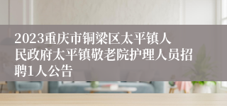 2023重庆市铜梁区太平镇人民政府太平镇敬老院护理人员招聘1人公告