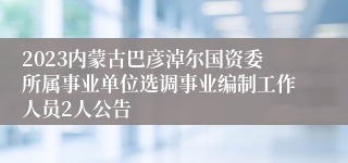 2023内蒙古巴彦淖尔国资委所属事业单位选调事业编制工作人员2人公告