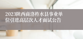 2023陕西商洛柞水县事业单位引进高层次人才面试公告