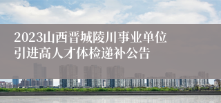 2023山西晋城陵川事业单位引进高人才体检递补公告