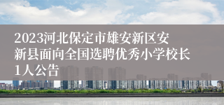 2023河北保定市雄安新区安新县面向全国选聘优秀小学校长1人公告