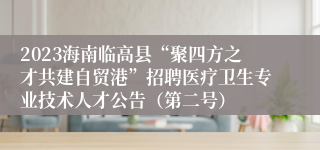 2023海南临高县“聚四方之才共建自贸港”招聘医疗卫生专业技术人才公告（第二号）