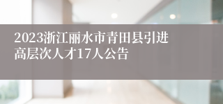 2023浙江丽水市青田县引进高层次人才17人公告