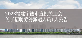 2023福建宁德市直机关工会关于招聘劳务派遣人员1人公告