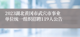 2023湖北黄冈市武穴市事业单位统一组织招聘119人公告