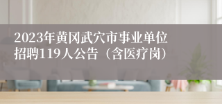 2023年黄冈武穴市事业单位招聘119人公告（含医疗岗）