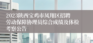 2023陕西宝鸡市凤翔区招聘劳动保障协理员综合成绩及体检考察公告