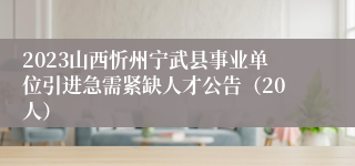 2023山西忻州宁武县事业单位引进急需紧缺人才公告（20人）