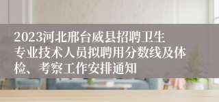 2023河北邢台威县招聘卫生专业技术人员拟聘用分数线及体检、考察工作安排通知