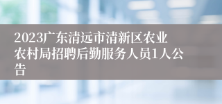 2023广东清远市清新区农业农村局招聘后勤服务人员1人公告