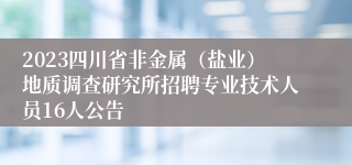 2023四川省非金属（盐业）地质调查研究所招聘专业技术人员16人公告