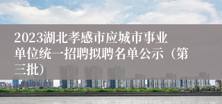 2023湖北孝感市应城市事业单位统一招聘拟聘名单公示（第三批）