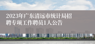 2023年广东清远市统计局招聘专项工作聘员1人公告