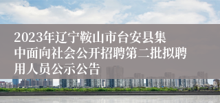 2023年辽宁鞍山市台安县集中面向社会公开招聘第二批拟聘用人员公示公告