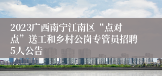 2023广西南宁江南区“点对点”送工和乡村公岗专管员招聘5人公告