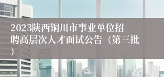 2023陕西铜川市事业单位招聘高层次人才面试公告（第三批）