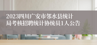 2023四川广安市邻水县统计局考核招聘统计协统员1人公告