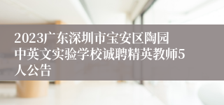 2023广东深圳市宝安区陶园中英文实验学校诚聘精英教师5人公告