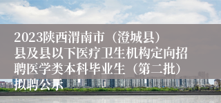 2023陕西渭南市（澄城县）县及县以下医疗卫生机构定向招聘医学类本科毕业生（第二批）拟聘公示