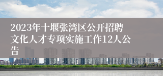 2023年十堰张湾区公开招聘文化人才专项实施工作12人公告