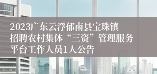 2023广东云浮郁南县宝珠镇招聘农村集体“三资”管理服务平台工作人员1人公告