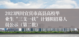2023四川宜宾市高县高校毕业生“三支一扶”计划拟招募人员公示（第二批）